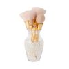 Franfranc ABS Rossa Makeup Brush Set, Clear