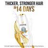 Pantene Lively Clean Shampoo, 200ml