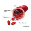 Wellness formula vitamins - BLOOD SUGAR SUPPORT - blood sugar formula