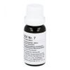 REGENAPLEX Nr.7 Tropfen 15 ml