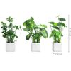 Artificial Assorted Plants, Greenery in White Square Ceramic Pots, Set of 3