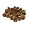 Bright Ideas Natural Pine Cones, Wood, 4-6cm