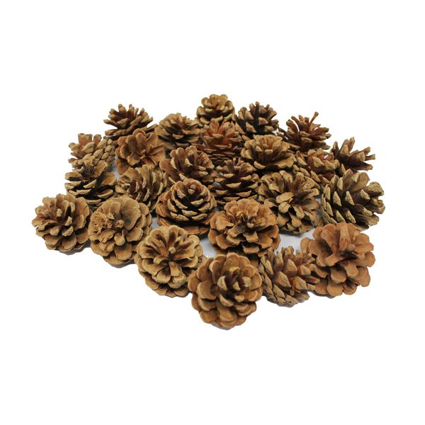 Bright Ideas Natural Pine Cones, Wood, 4-6cm