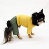 Eco Printed Miniature Dachshund DS-DSM Styling Rompers Typical Length
