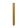 Monstera Potos Plastic Strut Thick 37.4 inches (95 cm)
