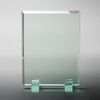 [Bella Robe] White Glass Shield PS – 4 desired engraving,