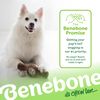 Benebone Durable Interactive Pawplexer Dog Chew Toy for Aggressive Chewers, Real Bacon, Small