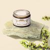 Napiers Arnica Plus Emergency Skin Cream with Witch Hazel and Comfrey - Soothing Skin Cream for Active People - 100ML