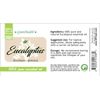 Eucalyptus Essential Oil - 100% Pure Essential Oil 32 fl oz - Aluminum Bottle - Greenhealth