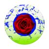 Rose Highlighter Green and Blue PopSockets Swappable PopGrip