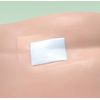 Alcare 17822 Multifix Roll Breathable Waterproof Film Roll No. 7 1 Roll