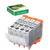 NEXTPAGE CLI42 Light Gray Ink Cartridges Replacement for Canon CLI-42 CLI42 Light Gray Ink Work for Pixma Pro-100 Pro-100s Printer (CLI42 LGY 4 Pack)