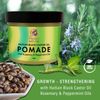 Doyley's Haitian Black Castor Oil  Pomade_4 oz