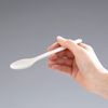 [2022] Wpc. Patterns Cutlery Set, Pion Red, Chopsticks, Fork and Spoon W063-085