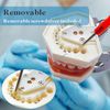 Typodont Teeth Model with Removable Teeth,Dental Tooth Model Suitable for Teaching, Practice and Study, with a Small Screwdriver. (Model and 28 Teeth)