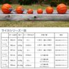 LIKER 9 Magic Ball for Medium and Large Dogs, Orange Large