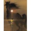 Black Stallion Movie Mini Poster #01 11x17