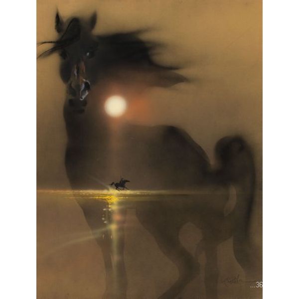 Black Stallion Movie Mini Poster #01 11x17