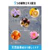 BimoRa Treatment Men's Hair Care Men Women Scalp Care Moisturizing Damage Care Made in Japan 185ml