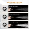Handheld Pressurized Steam Cleaner 2500W High Temp Portable Cleaning Machine