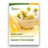 Sanavit Homoeopathic Emergency First Aid Kit D12, , , grey,