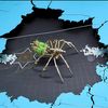 Mechanical Metal DIY 3D Insect Brass Puzzle (Gatling Spider)