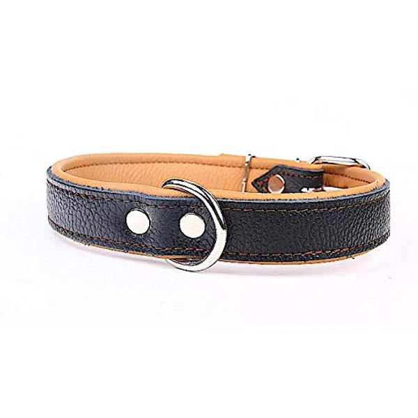 Capadi K0737 Dog Collar Lined with Napa Leather Strong Real Leather Dog Collar, Brown, Width 30 mm, Length 63 cm