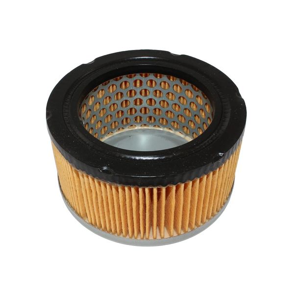 Greyfriars Air Filter Replacement for Robin DY23 DY27 DY41