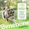 Benebone Bacon Flavor Bone Chew Toy Medium (Import)