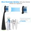 Replacement Toothbrush Heads for AquaSonic Black Series, 8 Count