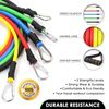 exercise resistance bands 11-piece set