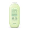 Method Body Wash, Daily Zen, Paraben and Phthalate Free, 18 oz (Pack of 1)