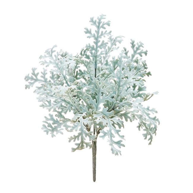 MAGIQ FG001356-zzz Bianca Dusty Mirror Bush, Gray Green