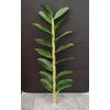 Artificial Dendrobium Orchid stem
