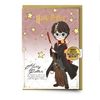 Harry Potter Character Greetings Card with Pinbadge