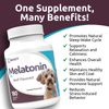 K9 Select Melatonin For Dogs - Calming Chews - Dog Melatonin For Sleep