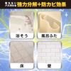 ultra hard cleaner for bath mold resistant plus