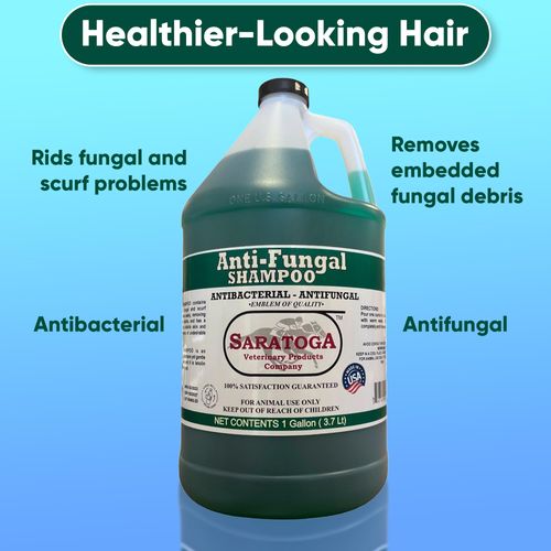Saratoga Veterinary Product Antifungal Shampoo for Horses - Antibacterial Horse Shampoo and Conditioner - Effective Antifungal Horse Shampoo - Professional Quality Equine Care (1 Gallon)