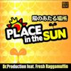 陽のあたる場所 -PLACE IN THE SUN-