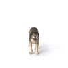 Schleich 14821 Wolf
