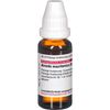 Arundo mauritanica D6 DHU Dilution, 20 ml Lösung