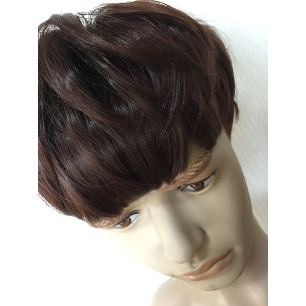 (LStage) Mote Hair Men's Wig Mash Hair Net / Fashion Cosplay Men's Dress Fluffy Short Hair Images [並行輸入品]