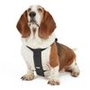 Pets Go 2 Dog Safety Harness For Walking & Car - Medium