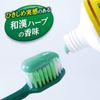 Shouyo EX Medicated Toothpaste, Prevents Pyorrhea, Japanese Chinese Herb Flavor, 3.5 oz (100 g), Quasi-Drug