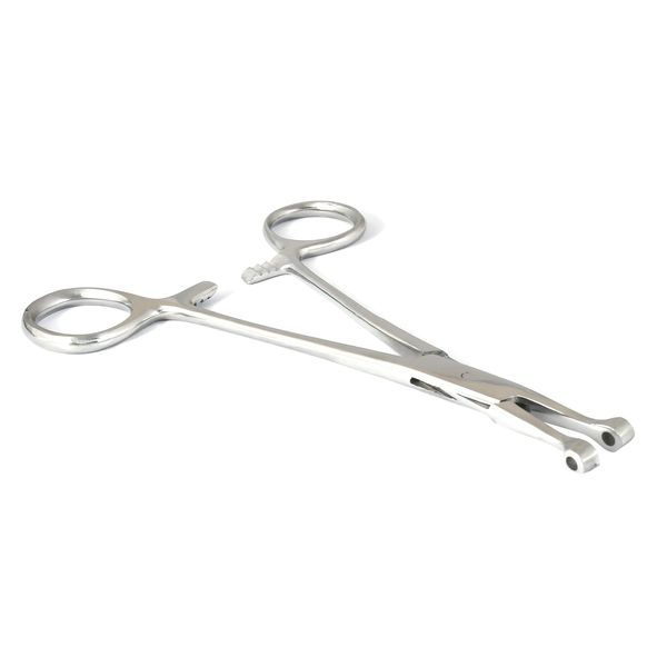 OdontoMed2011 Tube Septum Forceps 6 inch Piercing Tool Belly Tongue Eyebrow Lip Mirror Polish Finish Stainless Steel