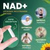 NAD+ 900mg – High-Potency Longevity & Cellular Repair Formula