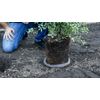 Digger’s 2-Gallon Root Guard Speed Baskets for Plants, Control Gopher for Efficient Planting, 2-Pack