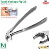 Dental Extraction Forceps Fig.22 Lower Molars Surgical Tooth Extracting Forceps