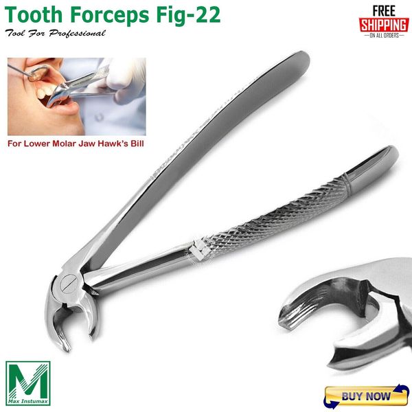 Dental Extraction Forceps Fig.22 Lower Molars Surgical Tooth Extracting Forceps