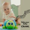 6 in 1 Crawling Phone Turtle,  Early Educational Developmental Toy 18+ mo.